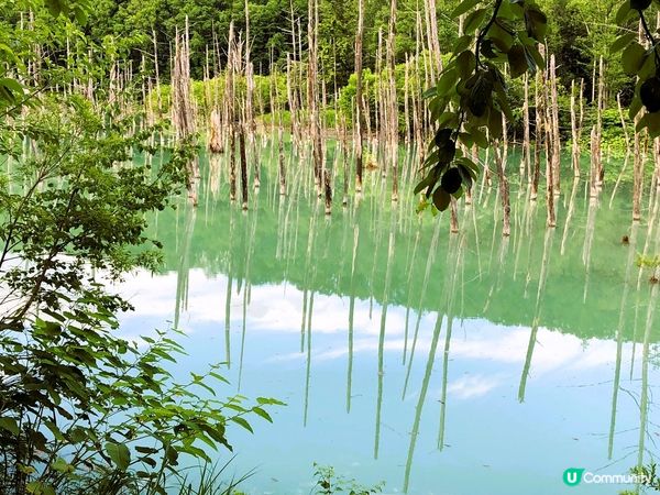 10年前的秘景變成打卡熱點～白金青池