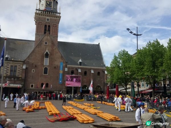 荷蘭cheese market
