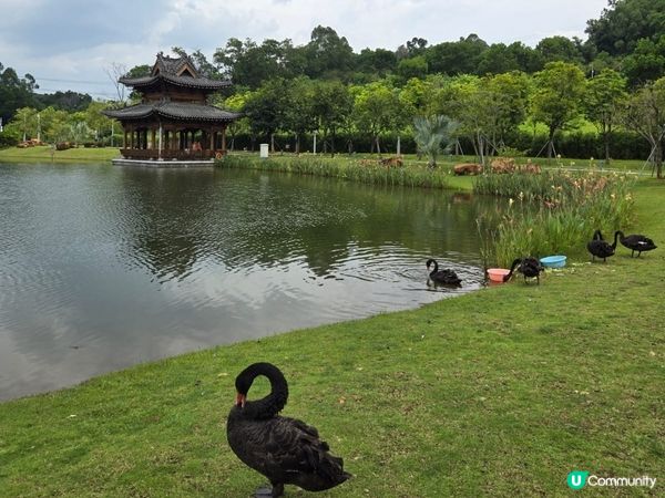 深圳北理莫斯科大學參觀 × 模擬法庭體驗