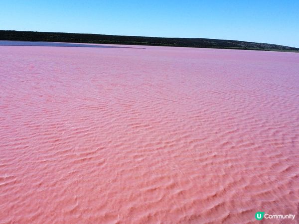 西澳粉紅湖🩷此生必去☺️🌸