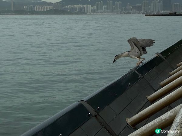 堅尼地城海傍