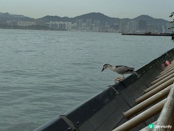 堅尼地城海傍