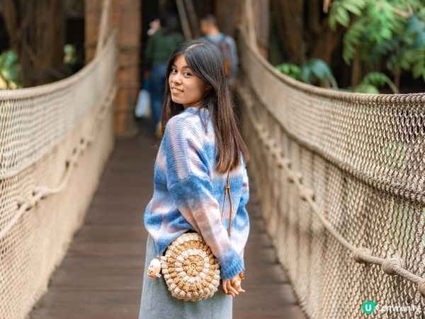 🎢香港迪士尼樂園|城堡打卡+巡遊必睇!泰山樹屋暫別了😢