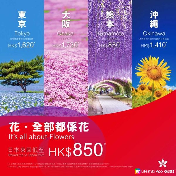 香港航空勁減 日本機票來回低至$850