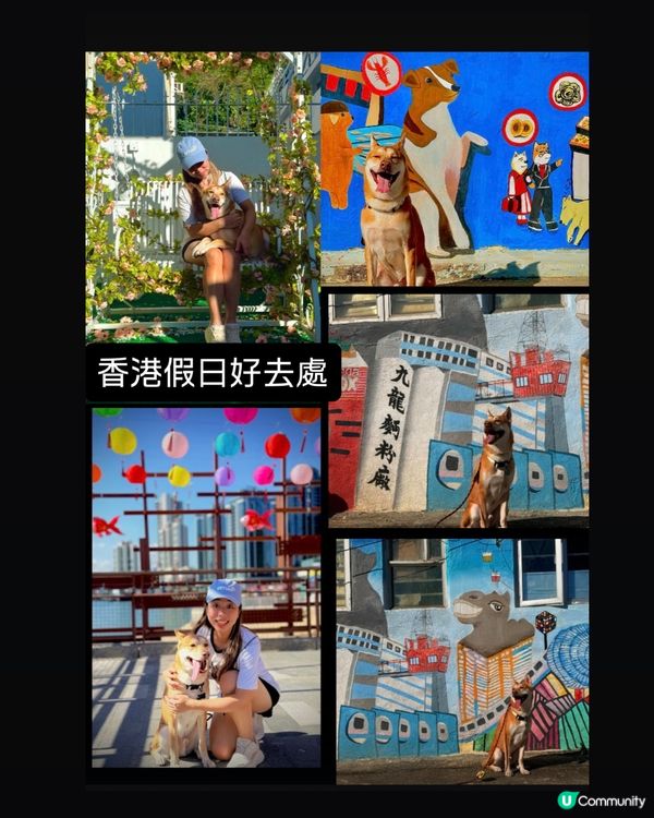 🎉週末拍拖親子好去處 📸 #香港打卡