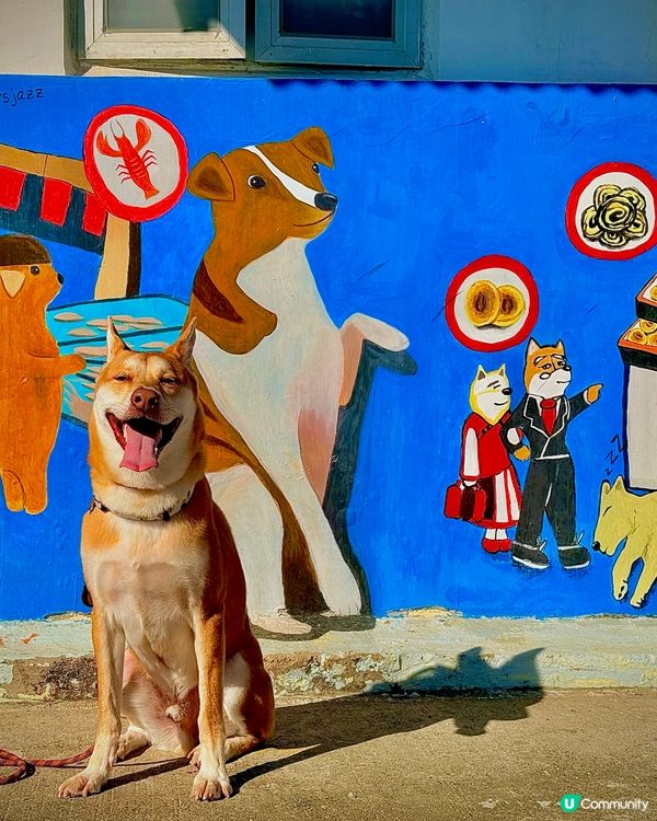 🎉週末拍拖親子好去處 📸 #香港打卡