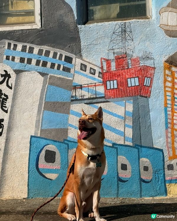 🎉週末拍拖親子好去處 📸 #香港打卡