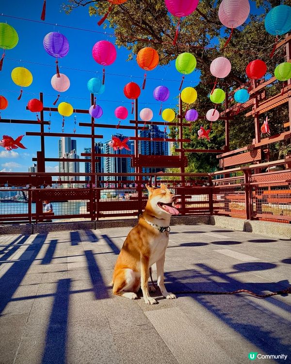 🎉週末拍拖親子好去處 📸 #香港打卡