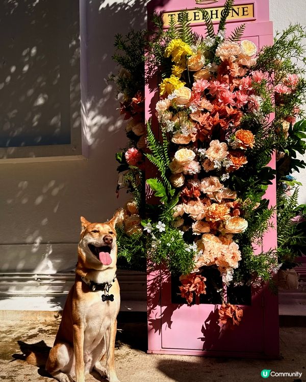 🎉週末拍拖親子好去處 📸 #香港打卡