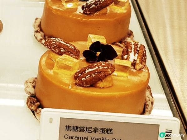 鮮花蛋糕🍰🌸，打卡必備！