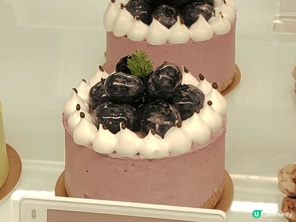 鮮花蛋糕🍰🌸，打卡必備！