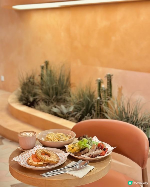 🌵La Viña Café ｜異國風情｜銅鑼灣 🍰 