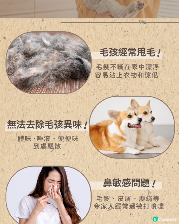 Philips全新Pet Buddy寵物吸毛空氣清新機