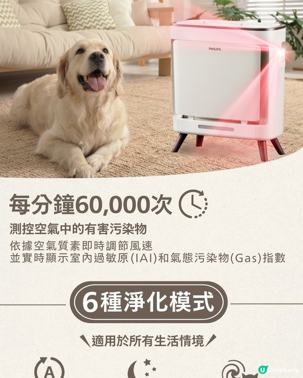 Philips全新Pet Buddy寵物吸毛空氣清新機