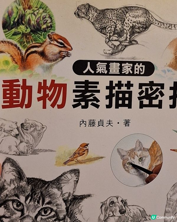 咪講左囉