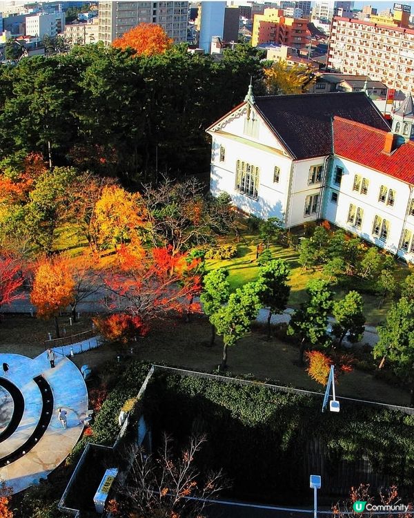 1新潟空中庭園🌿！高空賞紅葉一流選擇！📸