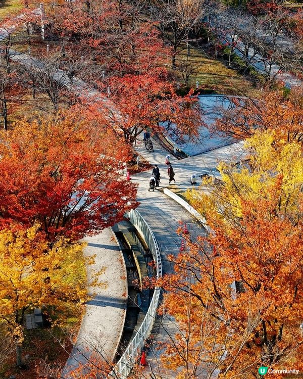 1新潟空中庭園🌿！高空賞紅葉一流選擇！📸