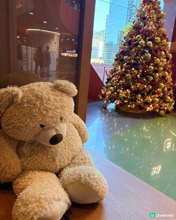 熊仔cafe打卡必去！🧸💖