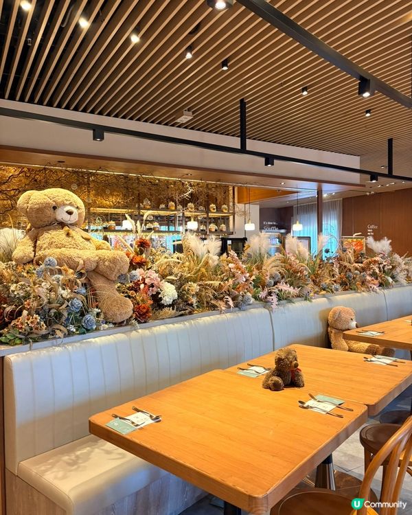 熊仔cafe打卡必去！🧸💖