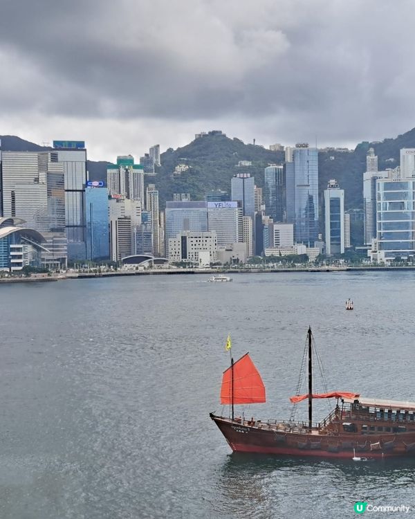 全方位睇維港