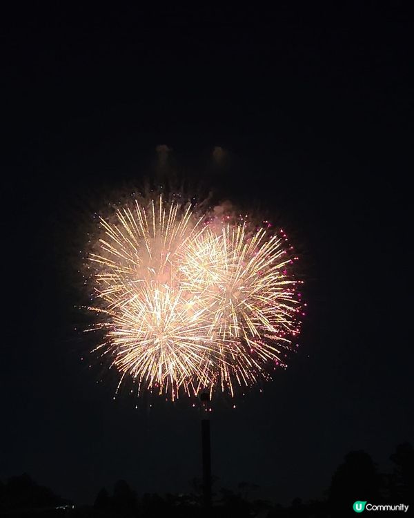 仙台夏天的「仙台七夕祭」