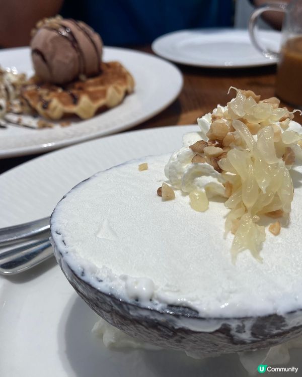 聯和墟街市變身打卡餐廳🍴狗狗一齊去🐶🍽️