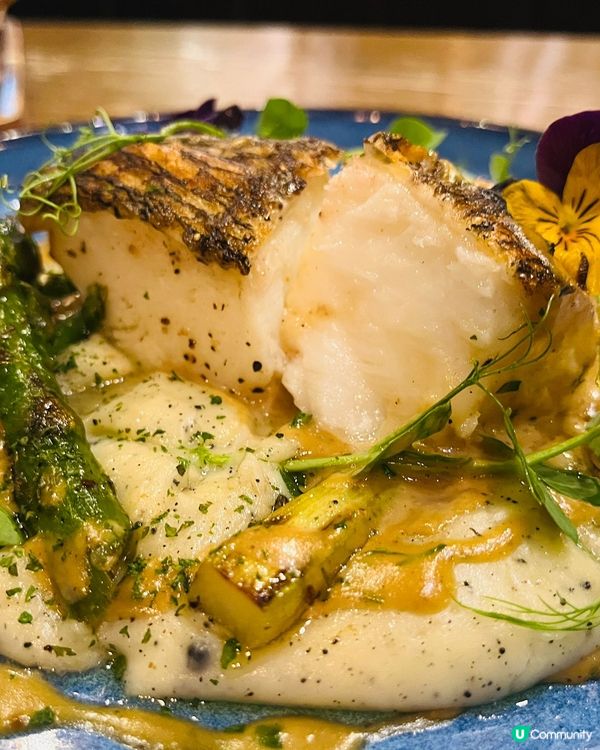 元朗新餐廳推介🤩  
元朗西菁街23號富達廣場52-56號