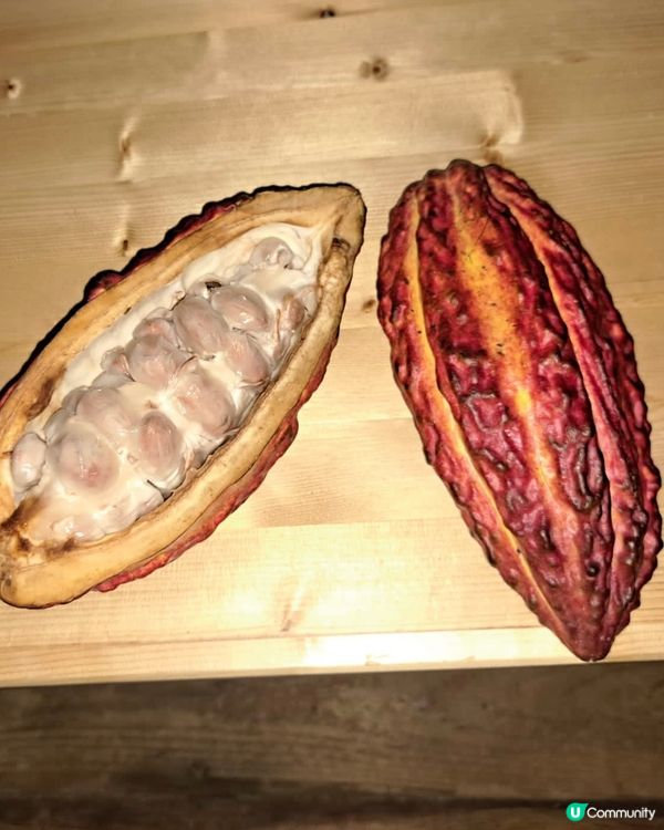 《情迷Läderach》🍫