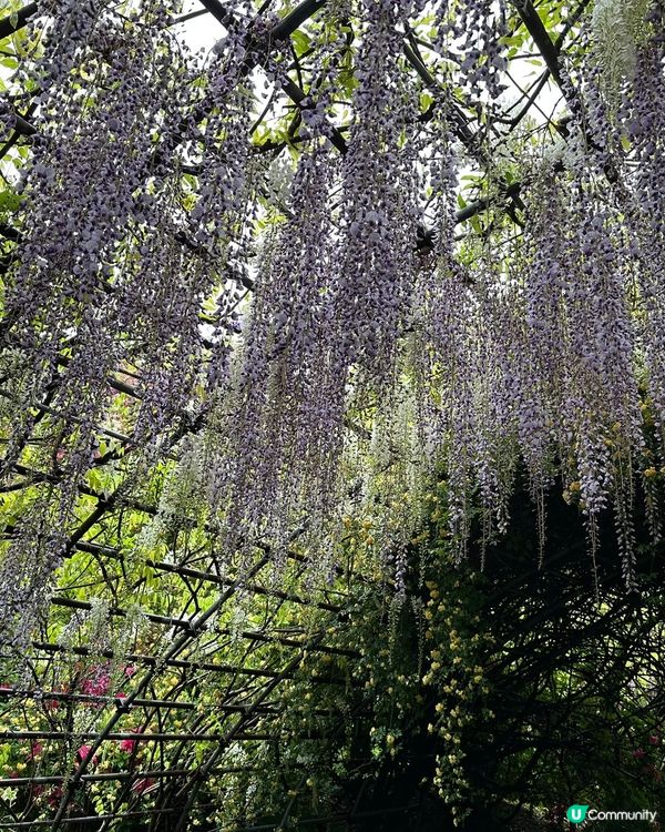 歡迎關注我嘅戶口､訂閱我嘅YouTube頻道, follow...