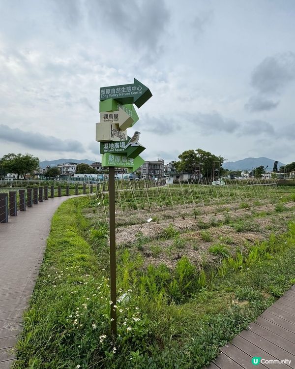上水塑原自然生態公園