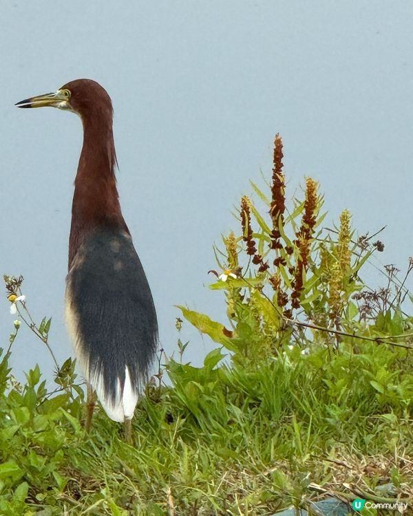 上水塑原自然生態公園