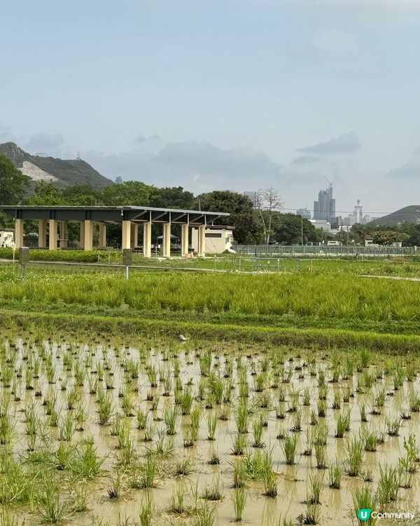 上水塑原自然生態公園