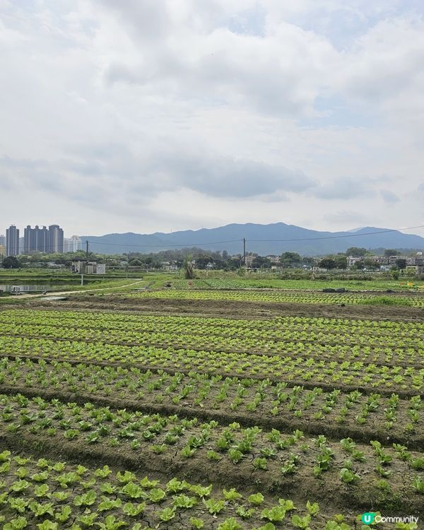 上水塑原自然生態公園