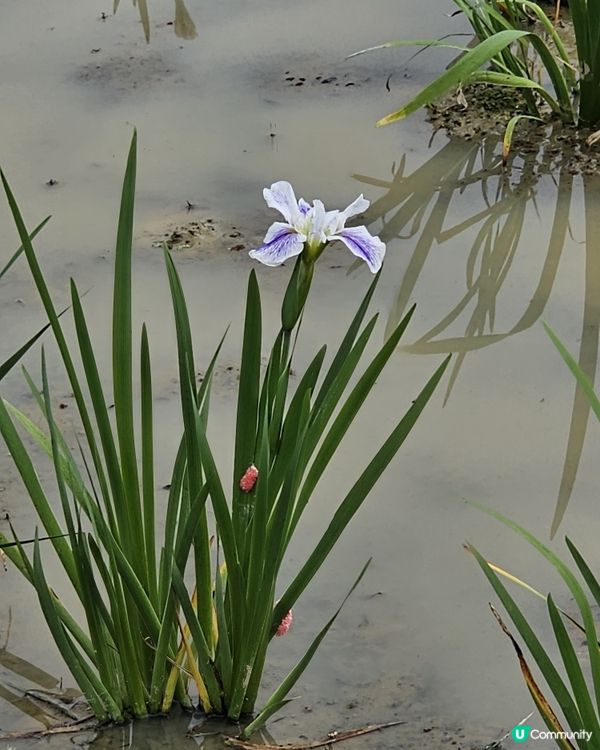 上水塑原自然生態公園