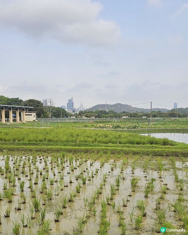 上水塑原自然生態公園