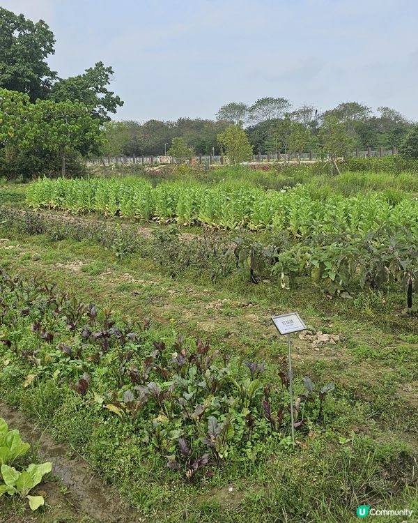 上水塑原自然生態公園