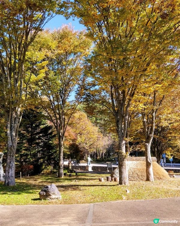 尖石遺跡揭秘！繩文文化之旅 🍁🗿！