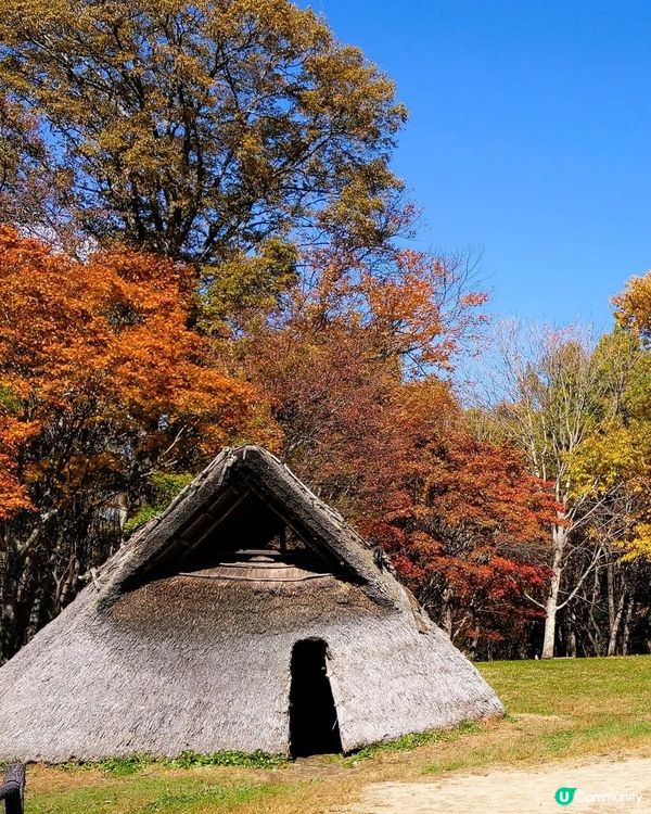 尖石遺跡揭秘！繩文文化之旅 🍁🗿！
