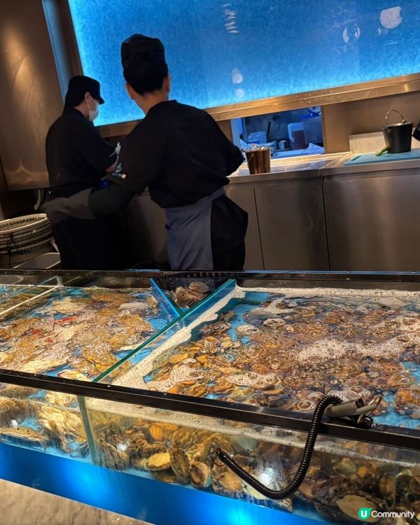 香港美人魚火鍋！海底世界開餐 🤩 銅鑼灣必去！