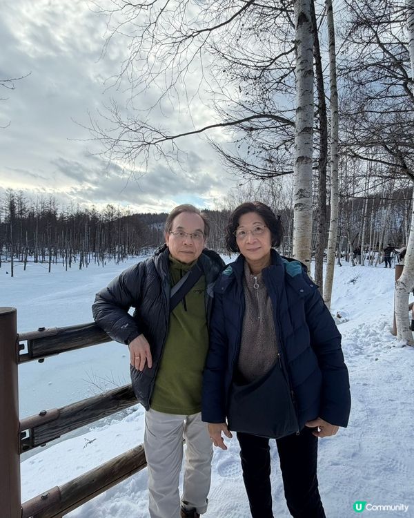 #日本好去處 湖水皆結了冰，樹木亦都落下葉，只剩樹枝。