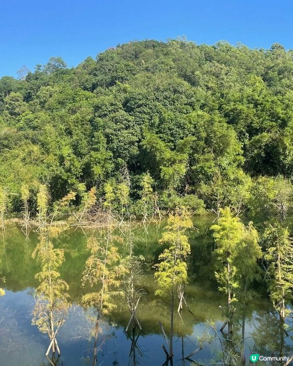 中山古香林公園一日遊🏞️ 享受慢活時光！🌳