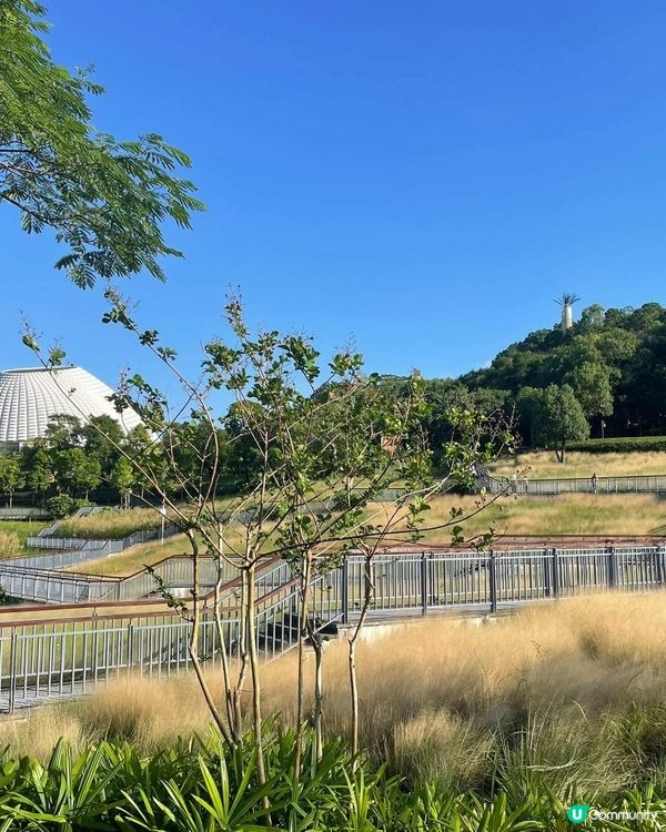 中山古香林公園一日遊🏞️ 享受慢活時光！🌳