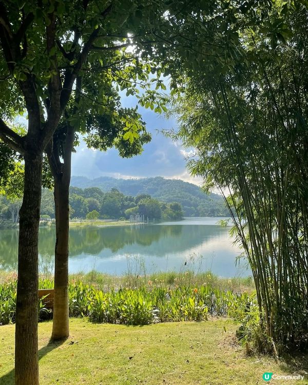 中山古香林公園一日遊🏞️ 享受慢活時光！🌳