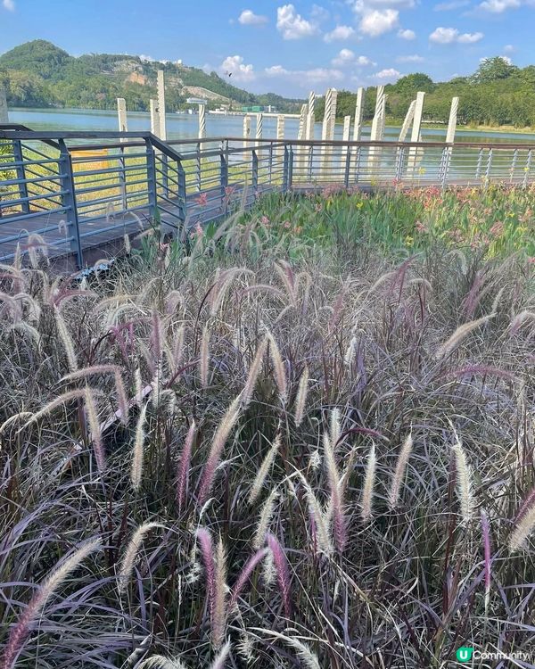 中山古香林公園一日遊🏞️ 享受慢活時光！🌳