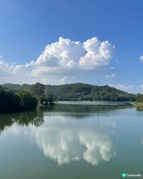 中山古香林公園一日遊🏞️ 享受慢活時光！🌳