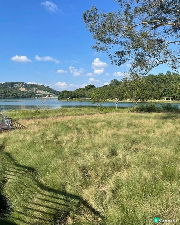 中山古香林公園一日遊🏞️ 享受慢活時光！🌳