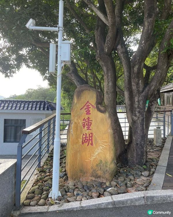 中山古香林公園一日遊🏞️ 享受慢活時光！🌳