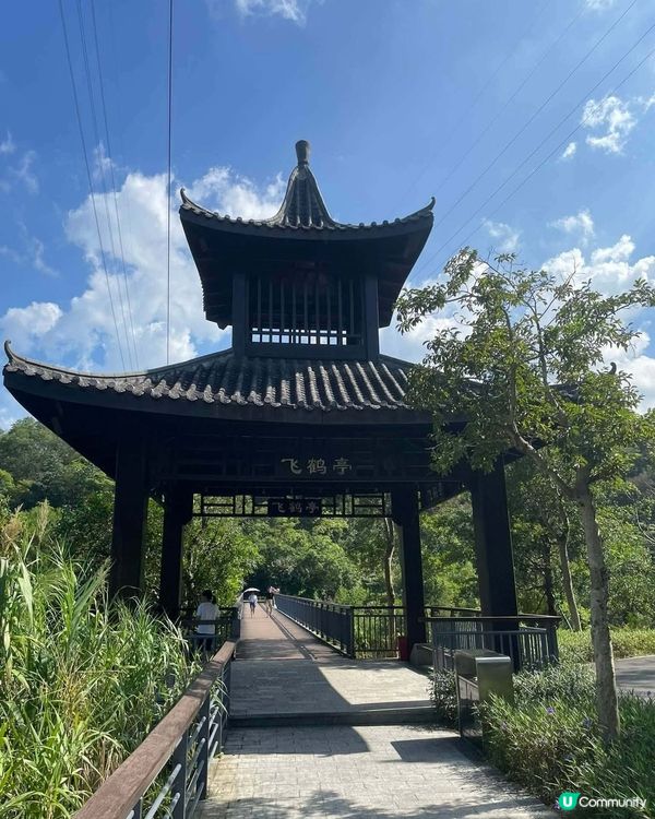 中山古香林公園一日遊🏞️ 享受慢活時光！🌳