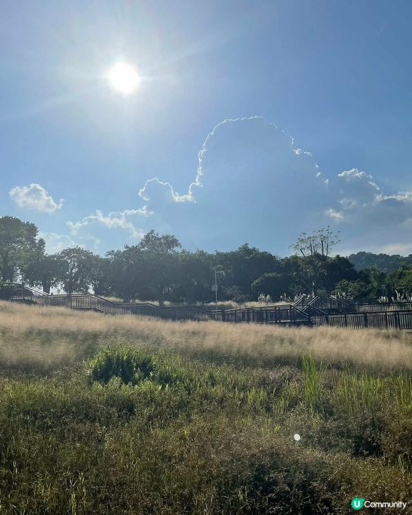 中山古香林公園一日遊🏞️ 享受慢活時光！🌳