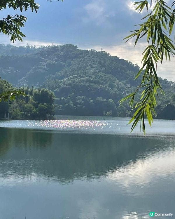 中山古香林公園一日遊🏞️ 享受慢活時光！🌳